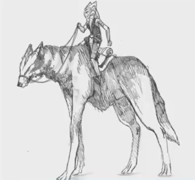 Ahsoka - Riding Giant Wolf
