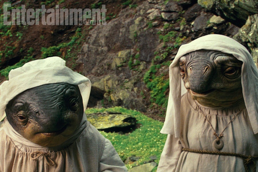 The Rise of Skywalker: Ewok ending scene is an underwhelming use of an adored character