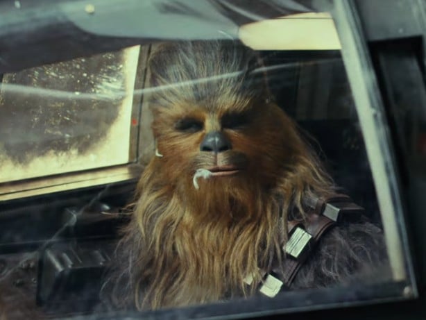 Chewie.jpg