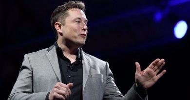 Elon Musk Mandalorian