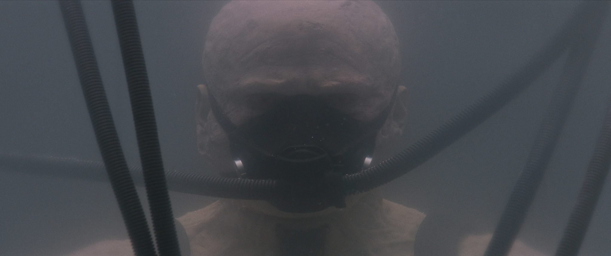 Hayden Christensen and Crew Talk About Darth Vader