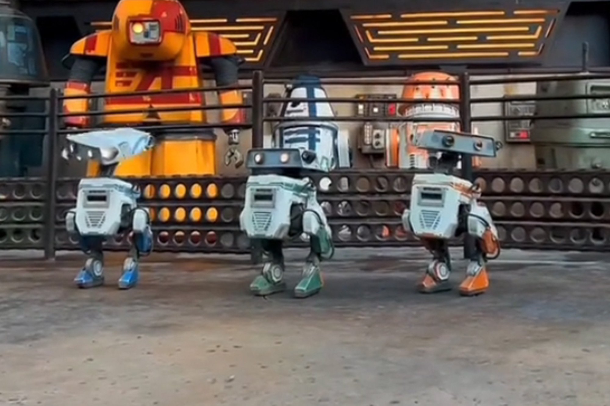 BD droids at Galaxy's Edge